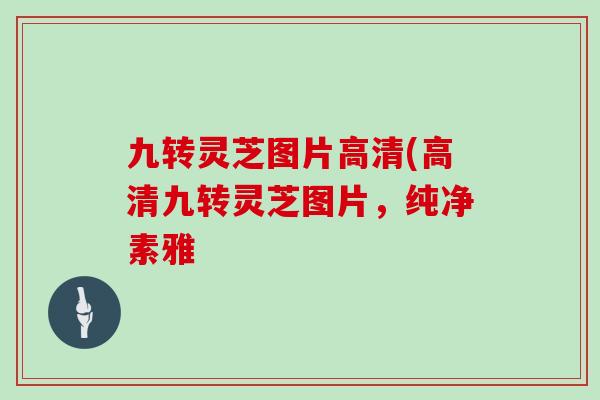 九转灵芝图片高清(高清九转灵芝图片，纯净素雅