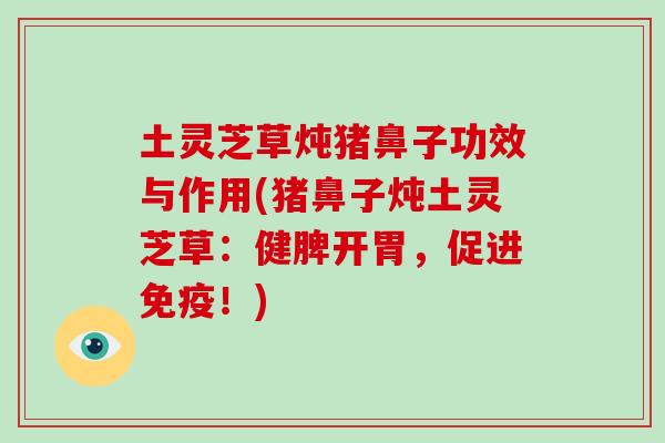 土灵芝草炖猪鼻子功效与作用(猪鼻子炖土灵芝草：健脾开胃，促进免疫！)