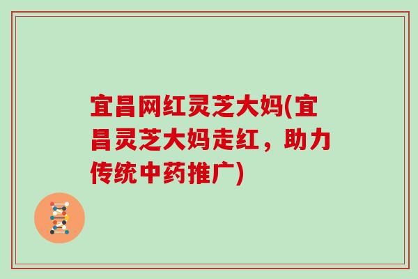 宜昌网红灵芝大妈(宜昌灵芝大妈走红，助力传统推广)