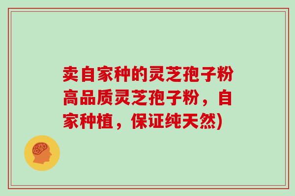 卖自家种的灵芝孢子粉高品质灵芝孢子粉，自家种植，保证纯天然)