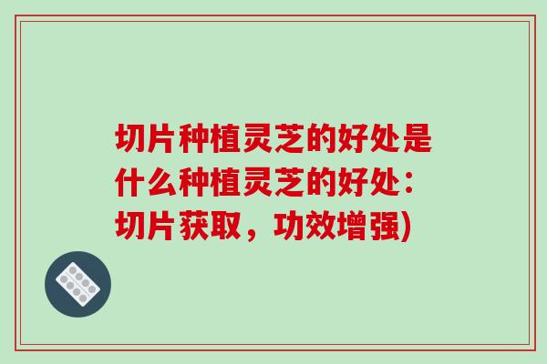 切片种植灵芝的好处是什么种植灵芝的好处：切片获取，功效增强)