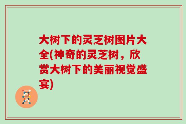 大树下的灵芝树图片大全(神奇的灵芝树，欣赏大树下的美丽视觉盛宴)