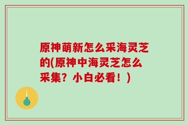 原神萌新怎么采海灵芝的(原神中海灵芝怎么采集？小白必看！)