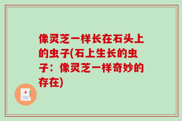 像灵芝一样长在石头上的虫子(石上生长的虫子：像灵芝一样奇妙的存在)