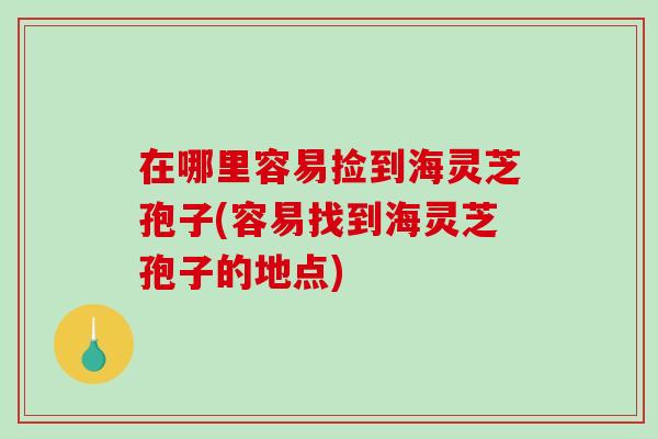 在哪里容易捡到海灵芝孢子(容易找到海灵芝孢子的地点)