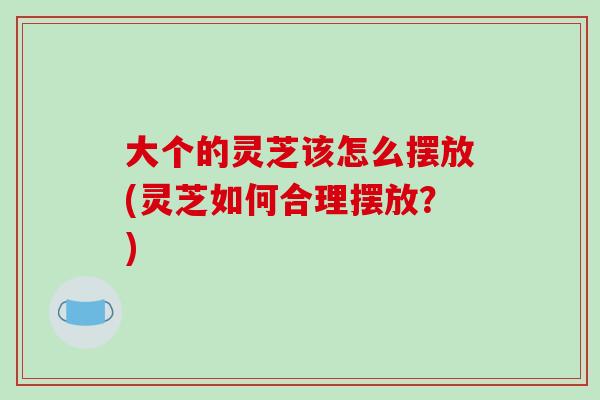 大个的灵芝该怎么摆放(灵芝如何合理摆放？)