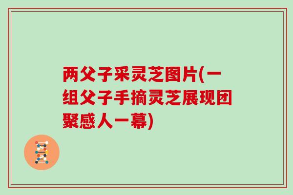 两父子采灵芝图片(一组父子手摘灵芝展现团聚感人一幕)