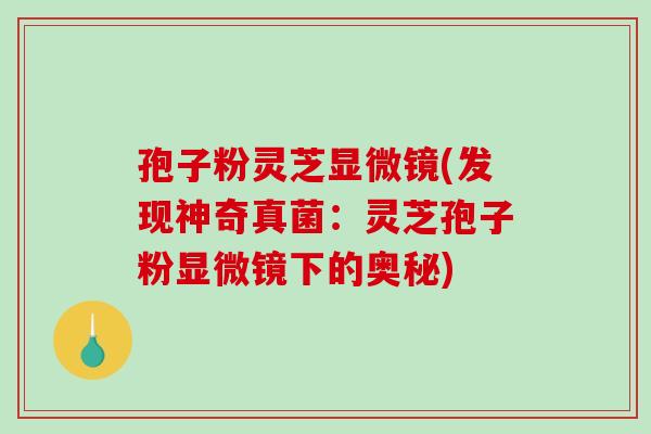 孢子粉灵芝显微镜(发现神奇真菌：灵芝孢子粉显微镜下的奥秘)