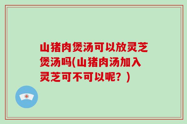 山猪肉煲汤可以放灵芝煲汤吗(山猪肉汤加入灵芝可不可以呢？)
