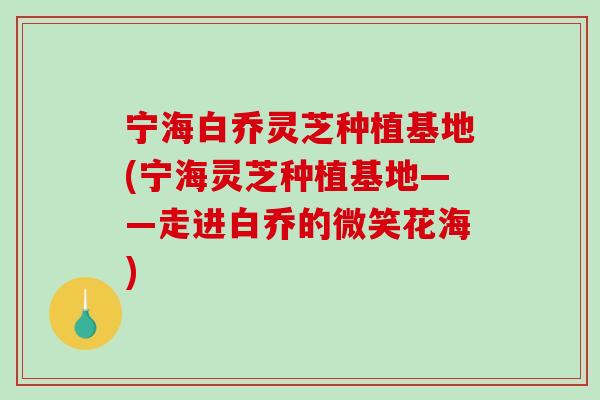 宁海白乔灵芝种植基地(宁海灵芝种植基地——走进白乔的微笑花海)