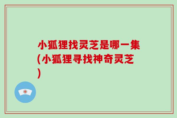 小狐狸找灵芝是哪一集(小狐狸寻找神奇灵芝)
