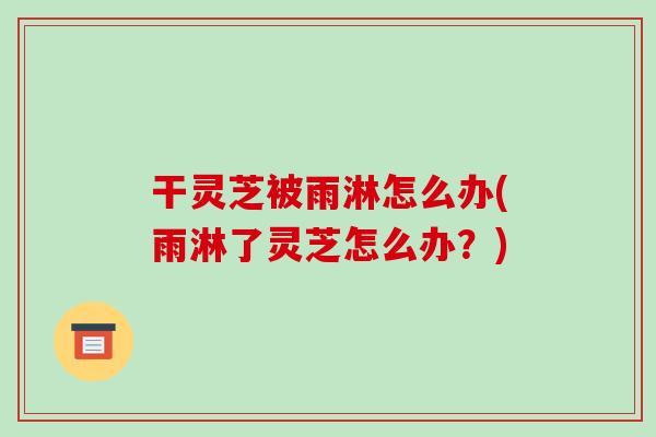 干灵芝被雨淋怎么办(雨淋了灵芝怎么办？)