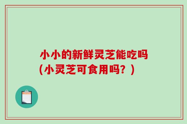 小小的新鲜灵芝能吃吗(小灵芝可食用吗?) 小小的新鲜灵芝能吃吗(小灵芝可食用吗?)