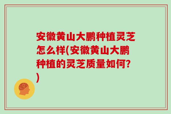 安徽黄山大鹏种植灵芝怎么样(安徽黄山大鹏种植的灵芝质量如何？)