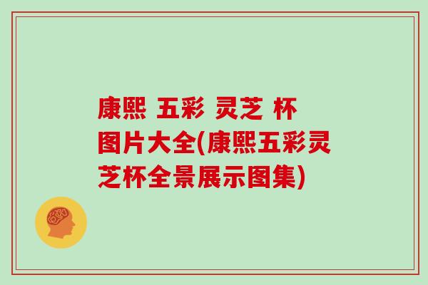 康熙 五彩 灵芝 杯图片大全(康熙五彩灵芝杯全景展示图集)