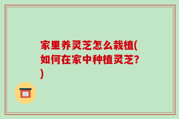 家里养灵芝怎么栽植(如何在家中种植灵芝？)