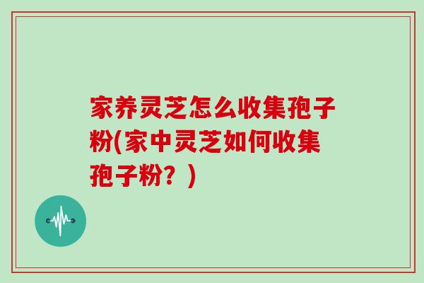 家养灵芝怎么收集孢子粉(家中灵芝如何收集孢子粉？)