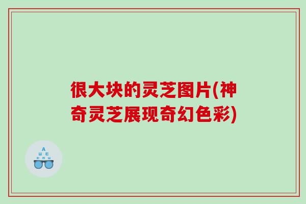 很大块的灵芝图片(神奇灵芝展现奇幻色彩)