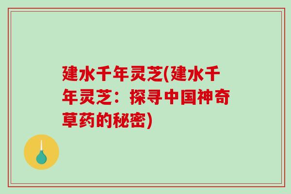 建水千年灵芝(建水千年灵芝：探寻中国神奇草药的秘密)