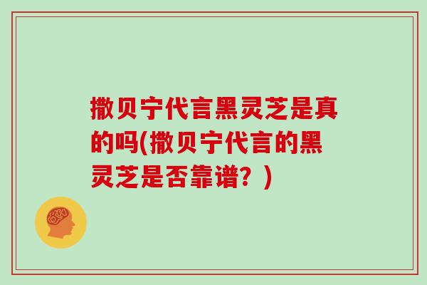 撒贝宁代言黑灵芝是真的吗(撒贝宁代言的黑灵芝是否靠谱？)