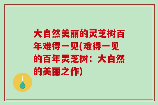 大自然美丽的灵芝树百年难得一见(难得一见的百年灵芝树:大自然的美丽之作) 大自然美丽的灵芝树百年难得一见(难得一见的百年灵芝树:大自然的美丽之作)