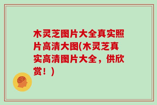 木灵芝图片大全真实照片高清大图(木灵芝真实高清图片大全，供欣赏！)
