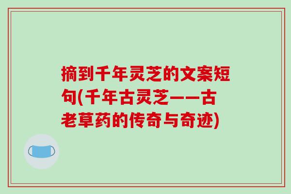 摘到千年灵芝的文案短句(千年古灵芝——古老草药的传奇与奇迹)