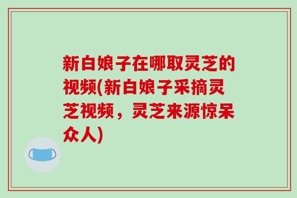 新白娘子在哪取灵芝的视频(新白娘子采摘灵芝视频，灵芝来源惊呆众人)
