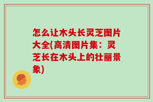 怎么让木头长灵芝图片大全(高清图片集：灵芝长在木头上的壮丽景象)