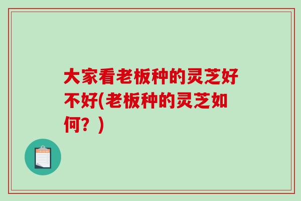 大家看老板种的灵芝好不好(老板种的灵芝如何?) 大家看老板种的灵芝好不好(老板种的灵芝如何?)