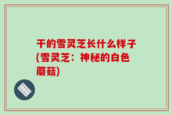 干的雪灵芝长什么样子(雪灵芝：神秘的白色蘑菇)