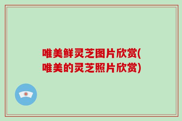 唯美鲜灵芝图片欣赏(唯美的灵芝照片欣赏) 唯美鲜灵芝图片欣赏(唯美的灵芝照片欣赏)