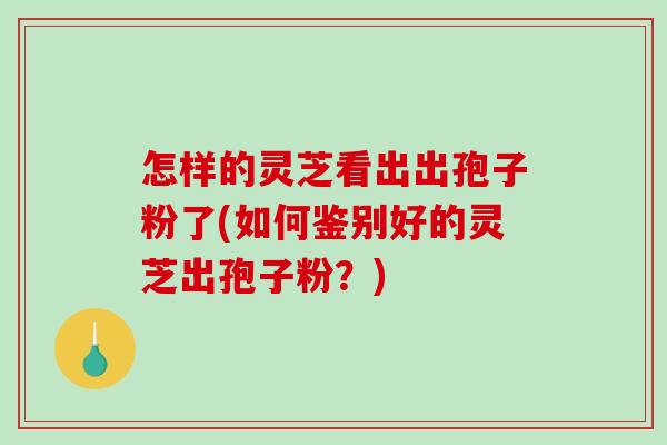 怎样的灵芝看出出孢子粉了(如何鉴别好的灵芝出孢子粉?) 怎样的灵芝看出出孢子粉了(如何鉴别好的灵芝出孢子粉?)