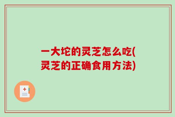 一大坨的灵芝怎么吃(灵芝的正确食用方法)