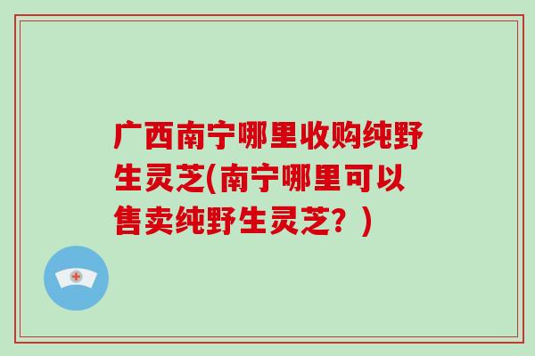 广西南宁哪里收购纯野生灵芝(南宁哪里可以售卖纯野生灵芝？)
