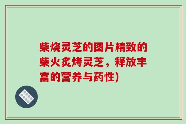 柴烧灵芝的图片精致的柴火炙烤灵芝，释放丰富的营养与)