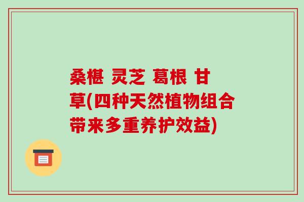 桑椹 灵芝 葛根 甘草(四种天然植物组合带来多重养护效益)