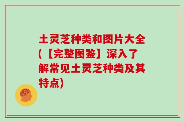 土灵芝种类和图片大全(【完整图鉴】深入了解常见土灵芝种类及其特点)