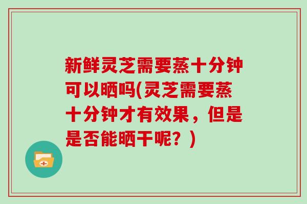 新鲜灵芝需要蒸十分钟可以晒吗(灵芝需要蒸十分钟才有效果，但是是否能晒干呢？)