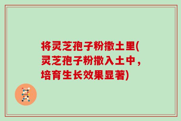 将灵芝孢子粉撒土里(灵芝孢子粉撒入土中，培育生长效果显著)