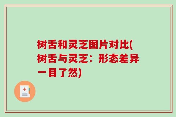 树舌和灵芝图片对比(树舌与灵芝：形态差异一目了然)
