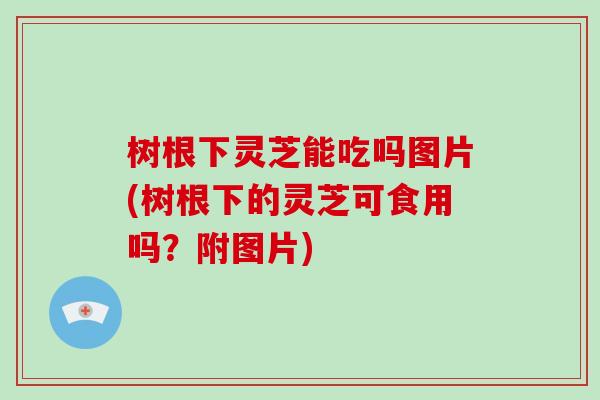 树根下灵芝能吃吗图片(树根下的灵芝可食用吗？附图片)