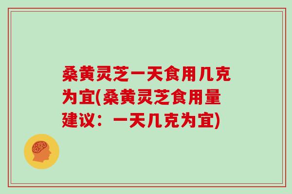 桑黄灵芝一天食用几克为宜(桑黄灵芝食用量建议：一天几克为宜)