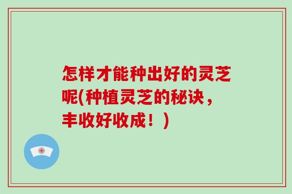 怎样才能种出好的灵芝呢(种植灵芝的秘诀，丰收好收成！)