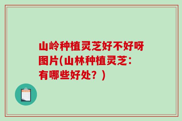 山岭种植灵芝好不好呀图片(山林种植灵芝：有哪些好处？)