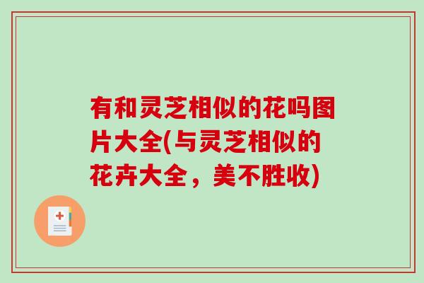 有和灵芝相似的花吗图片大全(与灵芝相似的花卉大全，美不胜收)