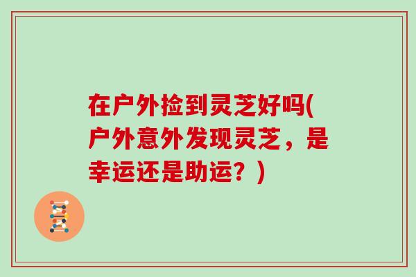 在户外捡到灵芝好吗(户外意外发现灵芝，是幸运还是助运？)