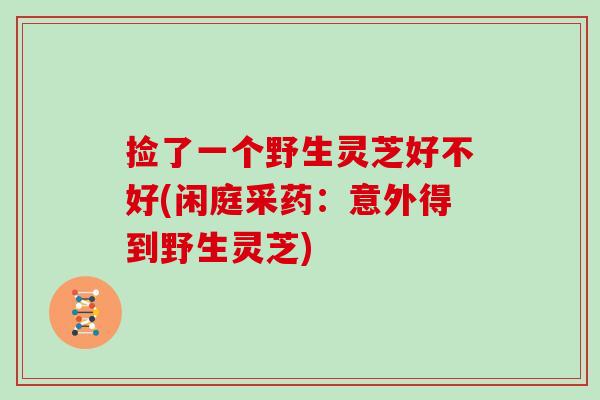 捡了一个野生灵芝好不好(闲庭采药：意外得到野生灵芝)