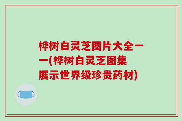 桦树白灵芝图片大全一一(桦树白灵芝图集 展示世界级珍贵药材)