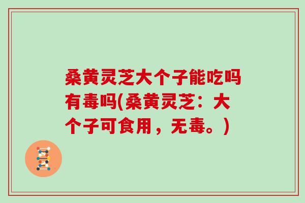 桑黄灵芝大个子能吃吗有毒吗(桑黄灵芝：大个子可食用，无毒。)